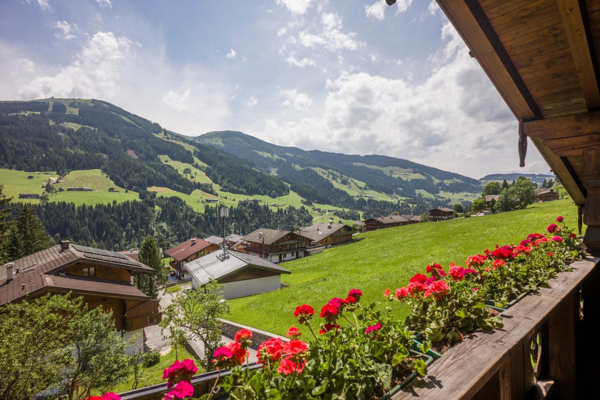 Apartment Landhaus Alpbach *
